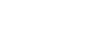 logo blanc Leonidas